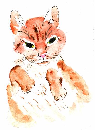 Aquarelle de Catherine Rault-Crosnier illustrant le pome Croquis de chatt de Maurice Rollinat.