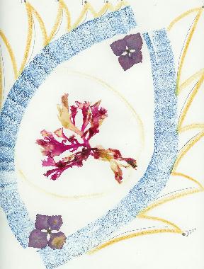 Pastel et collage dalgues roses de Bretagne de Catherine Rault-Crosnier intitul Regards dalgues.