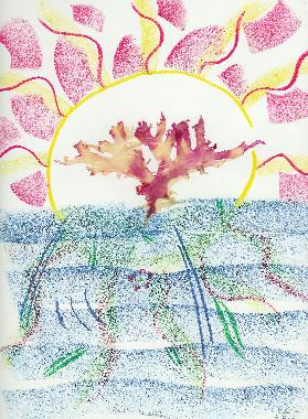 Pastel et collage dalgues roses de Bretagne de Catherine Rault-Crosnier intitul Lever de soleil.