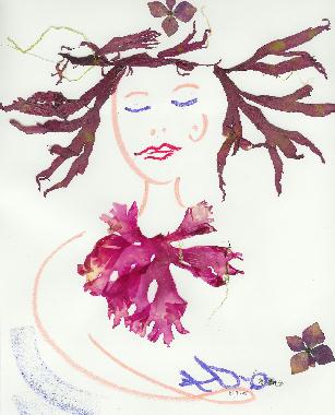 Pastel et collage dalgues roses de Bretagne de Catherine Rault-Crosnier intitul Sirne  loiseau.
