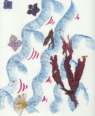 Pastel et collage dalgues roses de Bretagne de Catherine Rault-Crosnier intitul Hymne au rve.