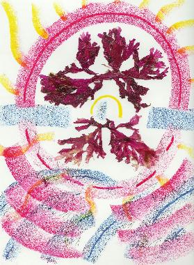 Pastel et collage dalgues roses de Bretagne de Catherine Rault-Crosnier intitul Incendie.