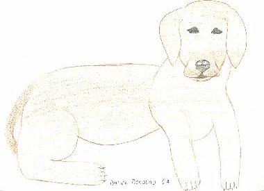 Dessin de Damien BORDEAU, illustrant son pome "LE CHIEN"