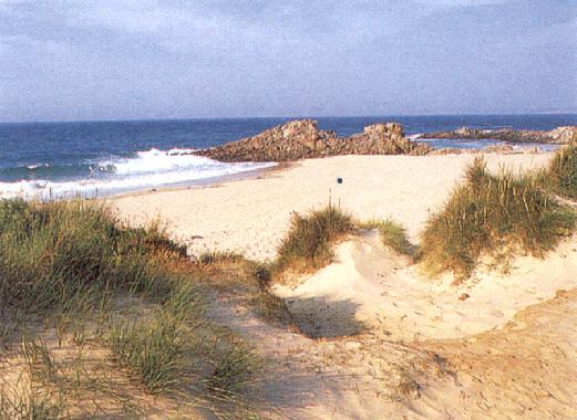 Photographie de Robert GRASSWILL, illustrant son pome CTAIT  NOIRMOUTIER