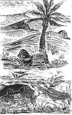 Dessin de Jacques VOISIN, illustrant son pome L'CHO DES SABLES.