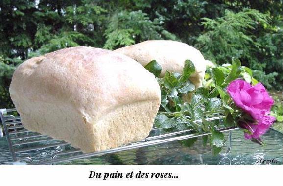 Photo de Claire Guillemette LAMIRANDE illustrant le pome DU PAIN ET DES ROSES de Lysette BROCHU.